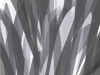 gras