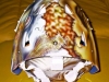 e-helm08