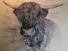 stier02web