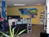 CarVision