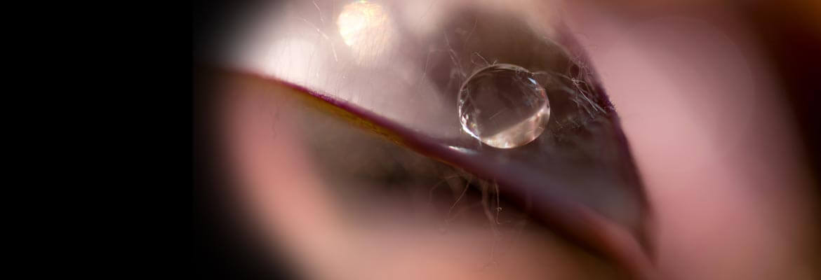 pixelbrush pixelbrush