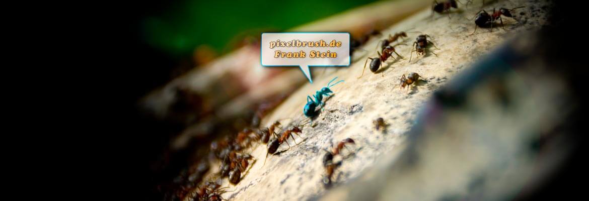 pixelbrush pixelbrush