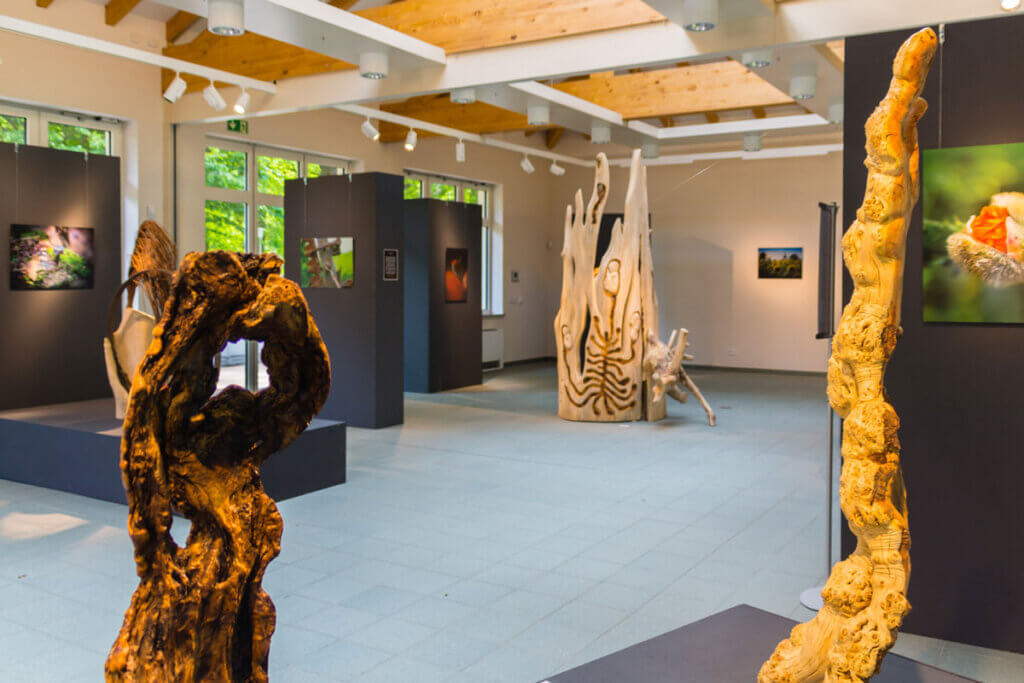 ausstellung vorschau